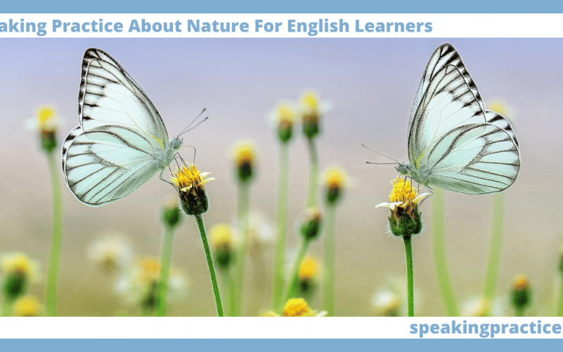 Speaking Practice About Nature for English Learners