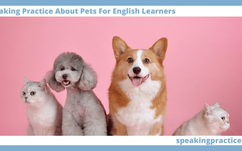 Speaking Practice About Pets for English Learners