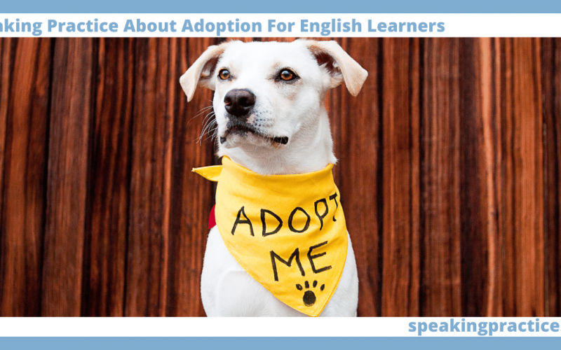 Speaking Practice Adoption for English Learners